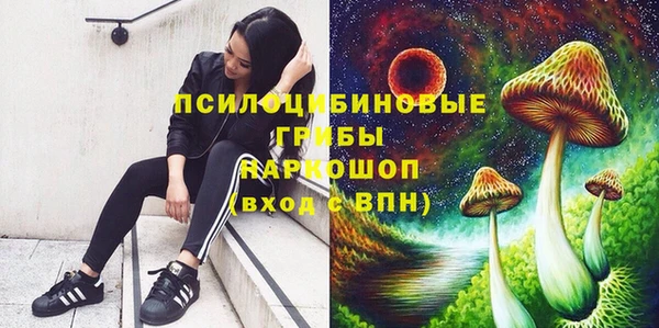 наркотики Белокуриха