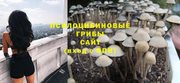 амф Верея